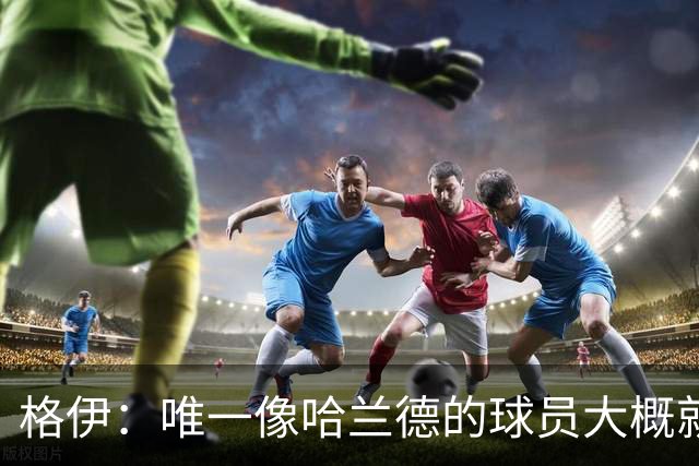格伊：唯一像哈兰德的球员大概就是凯恩 欧战我们或许要少些激进